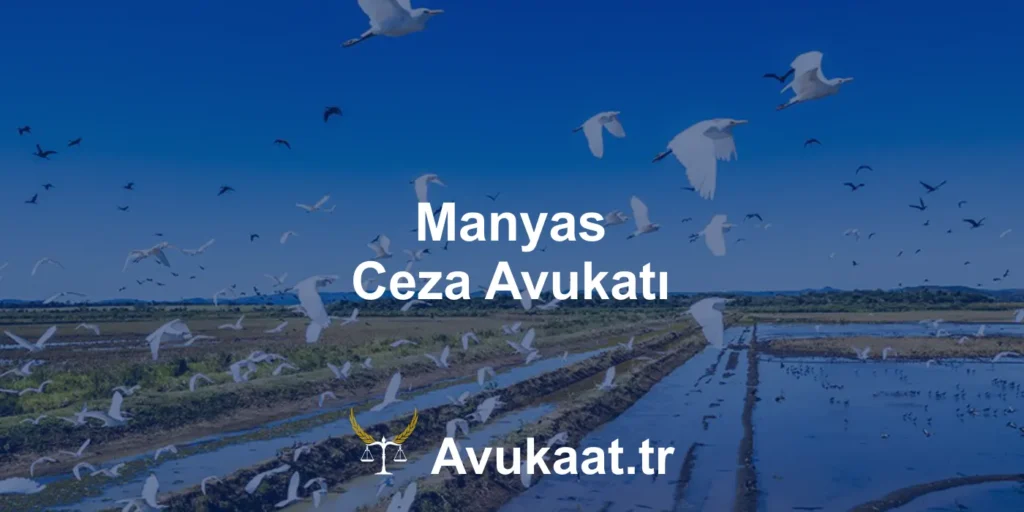 manyas ceza avukatı