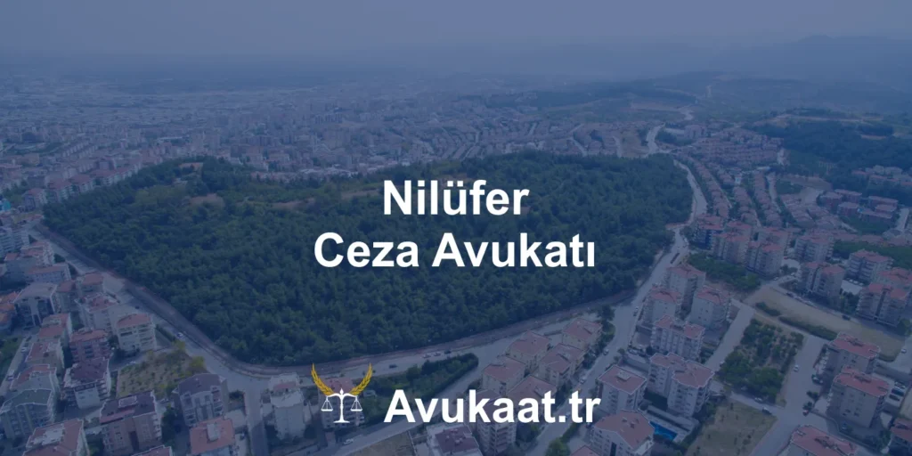 nilüfer ceza avukatı
